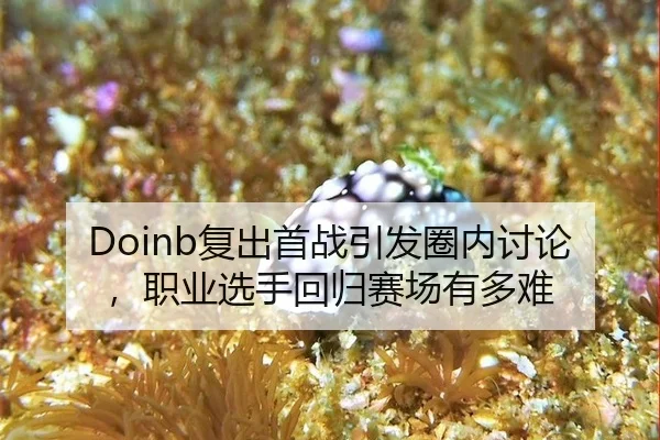 Doinb复出首战引发圈内讨论，职业选手回归赛场有多难